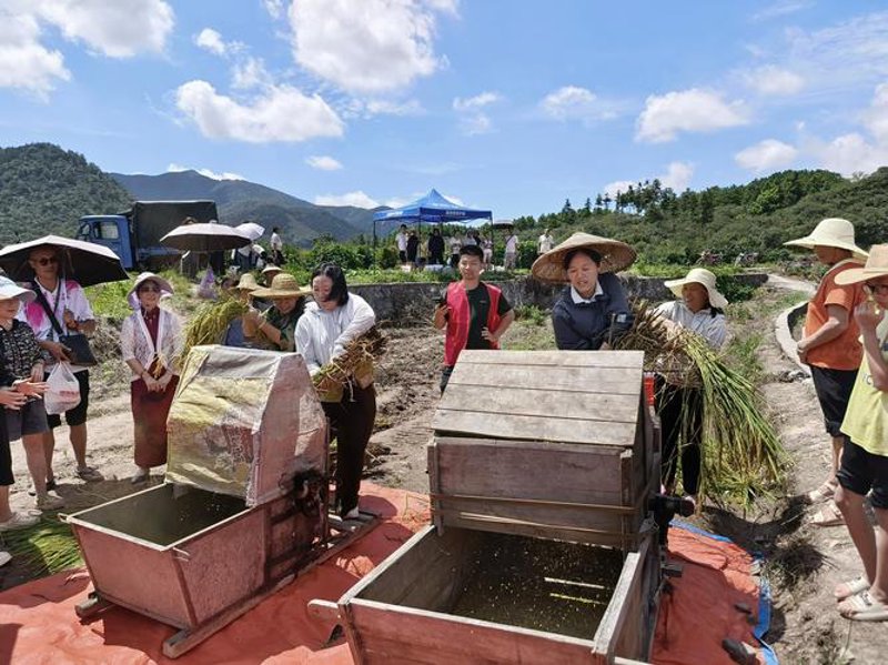 富川农业：乡村大地上的金色希望