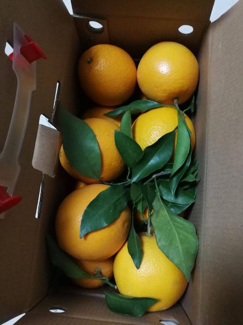 富川农产品：绿色自然的生态名片